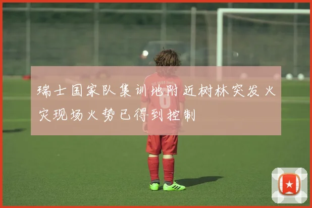 瑞士国家队集训地附近树林突发火灾现场火势已得到控制